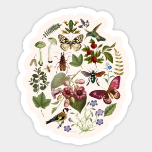 Forest Nature Illustrations Collage Sticker